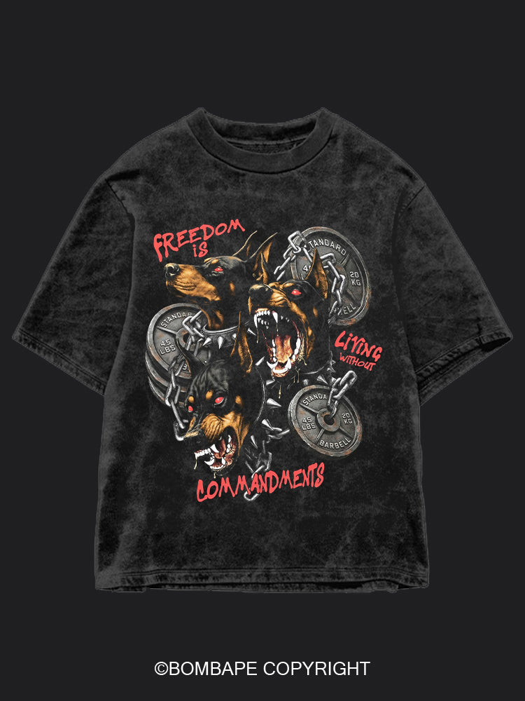 Freedom BombApe Washed Gym T-shirt
